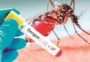Más de 970 casos de dengue registrados en 23 estados de México