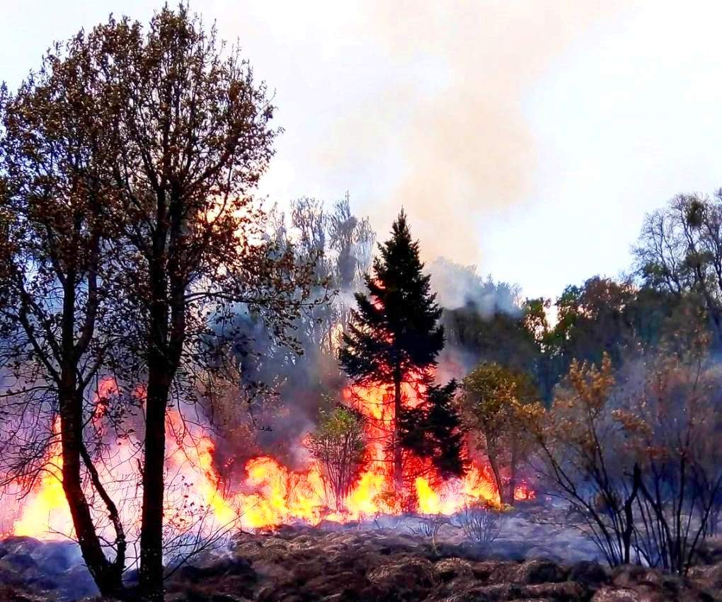 Concentra EdoMéx la mayor cantidad de incendios forestales en México