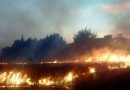 Piden autoridades de Metepec prevenir incendio de pastizales