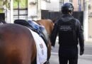 Por descuido en alimentación mueren 10 caballos de la Policía de Toluca