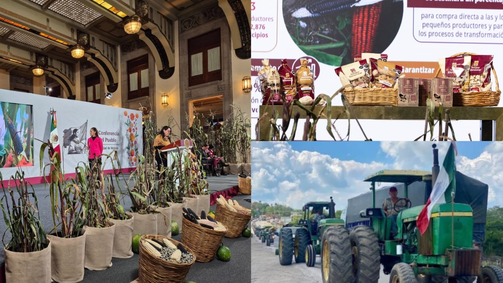 Llegan las tortillas del Bienestar; anuncian programa para aumentar producción de maíz