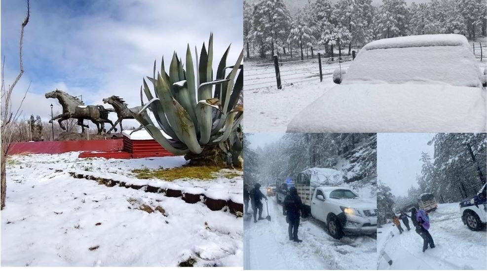 Nevadas históricas pintaron de blanco al norte de México por tormenta invernal