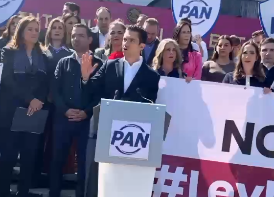 Desaparecer partidos políticos si se comprueban nexos o apoyos del crimen organizado: PAN