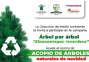 Zinacantepec invita a participar en el acopio de árboles de Navidad