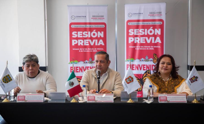 Avanza integración de propuesta de Ley Orgánica Modelo con participación de 13 tribunales del país