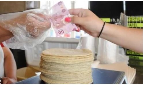 Inseguridad y extorsión también impacta alza del precio de la tortilla: CNT