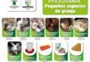 Zinacantepec lanza programa de adquisición de pequeñas especies de granja