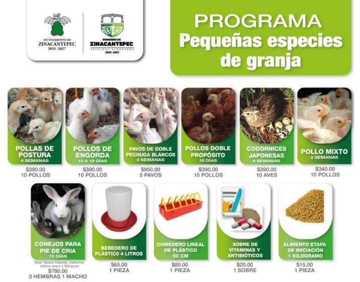 Zinacantepec lanza programa de adquisición de pequeñas especies de granja