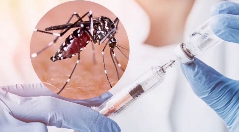 Cofepris autoriza vacuna contra el dengue en México