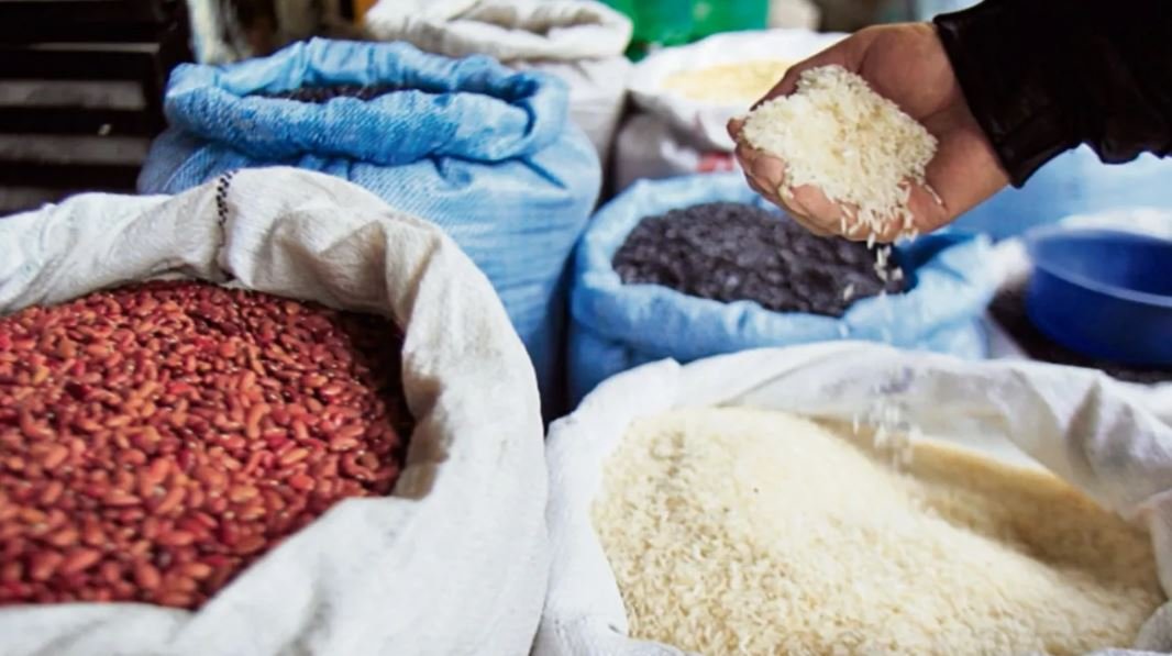 México produce menos maíz, trigo, frijol y arroz de lo que consume su población: GCMA 