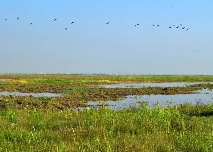 SCJN ordena revisar apoyos a quienes sean afectados por área protegida a Lago de Texcoco