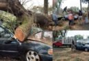 Caída de árbol sobre automóvil deja dos heridos en Metepec