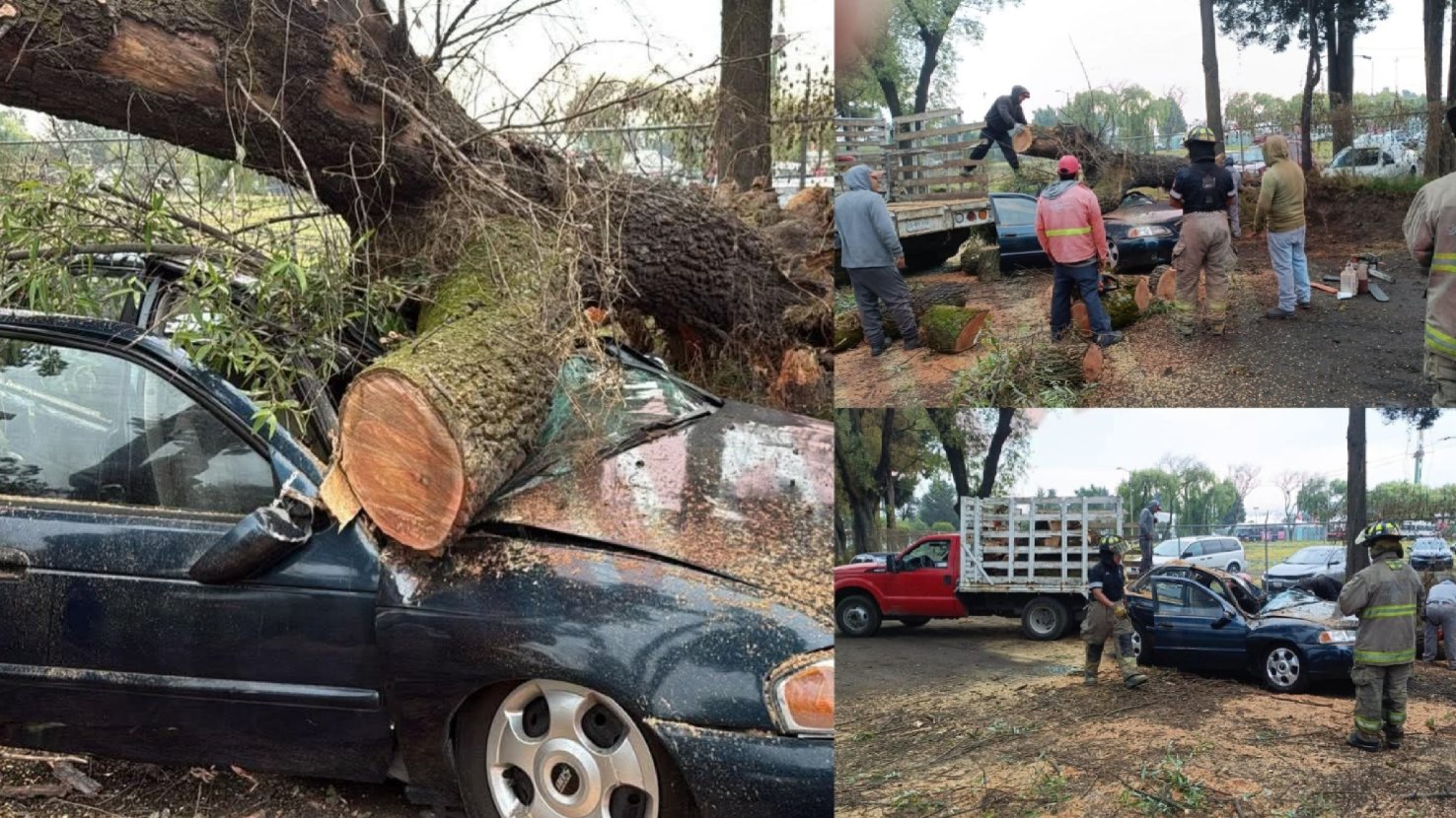 Caída de árbol sobre automóvil deja dos heridos en Metepec