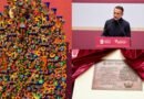 Declaratoria de Indicación Geográfica Protegida al Árbol de la Vida evitará piratería: Fernando Flores