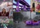 Reprochan a Brugada la “ajolotización” de la CDMX sobre crisis de infraestructura