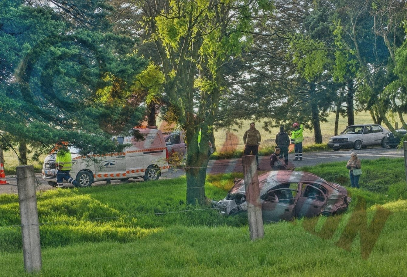 Automovilista se impacta contra árbol cerca de la caseta El Dorado en la Toluca–Atlacomulco