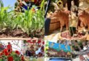 Metepec se llenó de color, música y tradición con el emblemático Paseo de la Agricultura