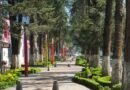 Acusan opacidad y posible ecocidio en plan de Ricardo Moreno de tala de 60 árboles en Paseo Colón