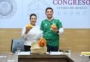 Comisión avala protección de tradiciones de San Antonio, Temoaya y Villa Guerrero