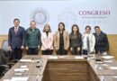 Comisión de bienestar animal es un gran esfuerzo institucional: congresistas