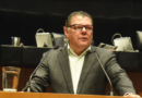 PVEM anuncia que va solo en Colima rumbo a elecciones 2027