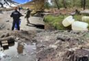 El volcán protegido que agoniza; exhiben tala ilegal en el Nevado de Toluca 