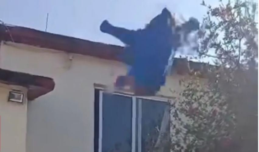 Policías de Metepec salvan a mujer que se aventó desde una azotea