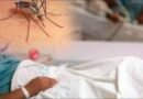 Siete muertes por dengue desatan la alerta en México ante el aumento de casos
