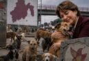 EdoMéx llega al Día de Perro con 5 millones en las calles evidenciando fracaso en políticas de Delfina