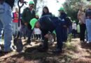 Zinacantepec inicia el programa de reforestación 2026 con la plantación de 3 mil árboles en el cerro de Ibarra