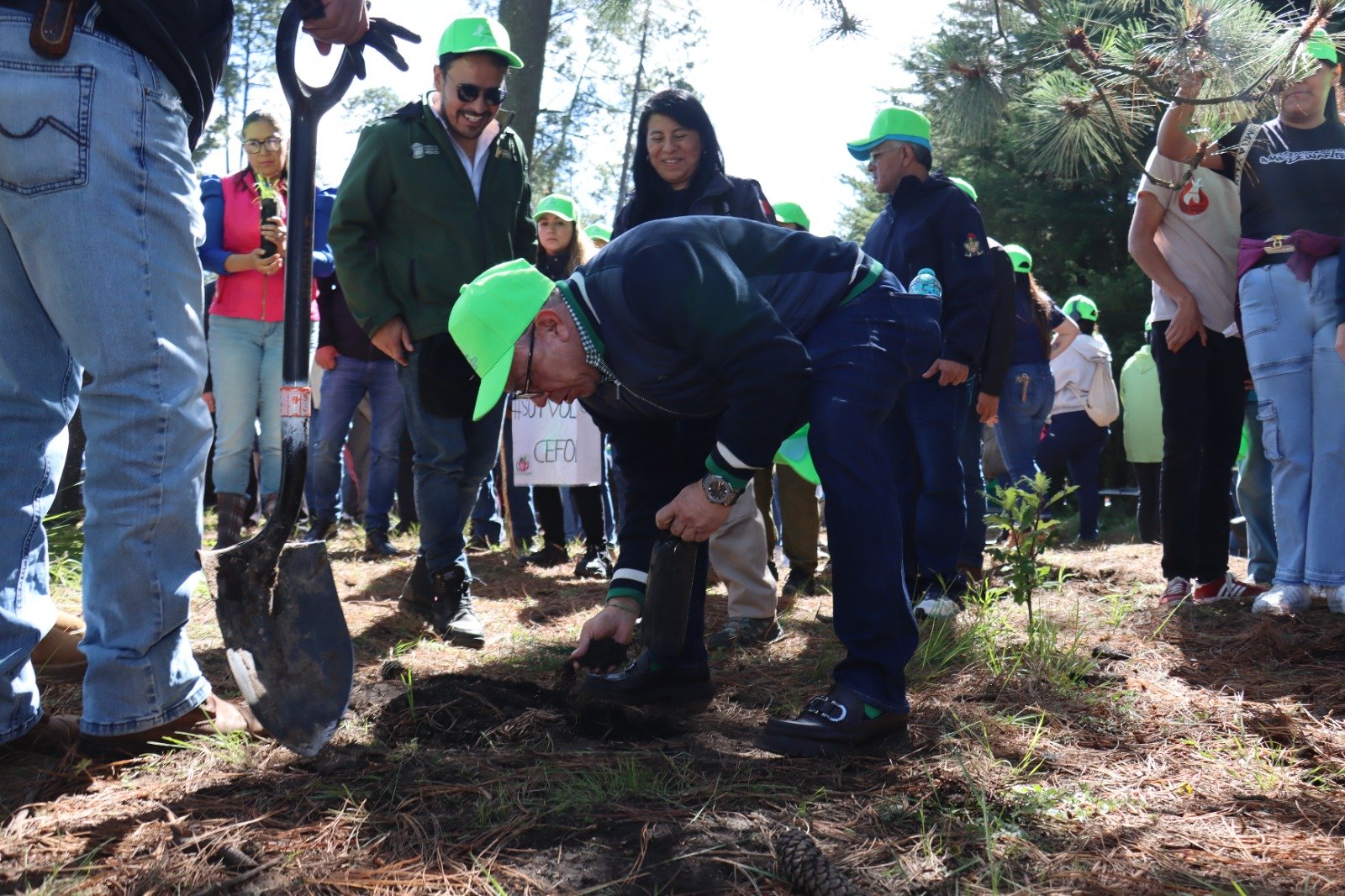 Zinacantepec inicia el programa de reforestación 2026 con la plantación de 3 mil árboles en el cerro de Ibarra