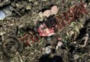 Hallan cuerpo de recién nacida al interior de bolsa de plástico en Temoaya