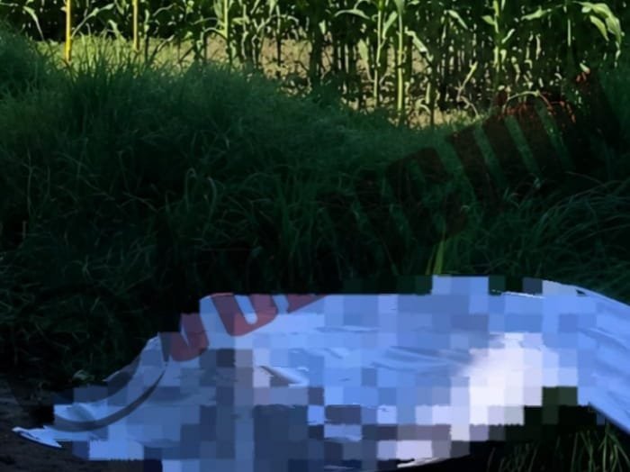 Hallan a dos hombres sin vida y con huellas de violencia en Tenango del Valle