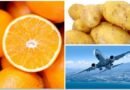 Inflación pega a las naranjas, papa y al transporte aéreo