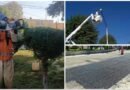 Metepec apuesta por mejorar espacios para brindar seguridad a las familias