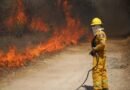 Lluvias frenan crisis de incendios forestales en México al registrar 2 mil siniestros menos