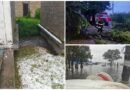 Fuerte tormenta deja árboles caídos y zonas inundadas en Toluca