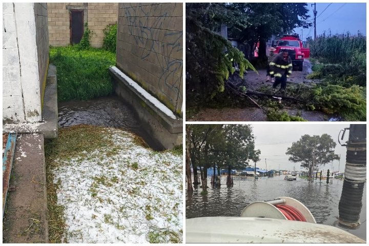 Fuerte tormenta deja árboles caídos y zonas inundadas en Toluca