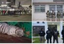 Harfuch confirma golpe al CJNG tras 20 detenidos en Hidalgo, Jalisco y Michoacán