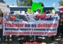 En operativo contra tragamonedas de FGJEM sembraron droga para su aseguramiento: UNAMA