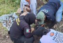 Madres buscadoras de Chiapas hallan restos humanos con pertenencias en predios de diferentes municipios