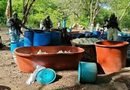 Desmantelan 4 narcolaboratorios en Guerrero y Michoacán sin detenidos 