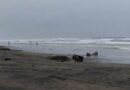 Doble impacto del huracán ‘Polo’ amenaza a Baja California Sur y Sonora
