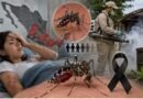 Siete decesos y más de 4 mil 400 contagios de dengue en ocho meses
