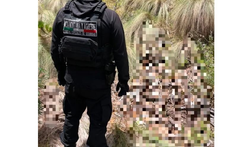 Hallan posibles restos humanos al interior del Parque Iztaccíhuatl-Popocatépetl
