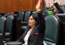 Proponen legislación integral en favor de niñas, niños y adolescentes en situaciones de guarda y custodia