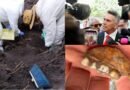 Hallazgo de dientes de leche en fosa clandestina es reflejo de la barbarie criminal en México: PRI