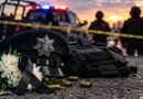 Septiembre registra 18 muertes de policías según Causa en Común