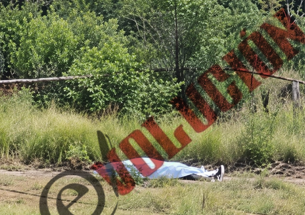 Hallan a persona sin vida a costado de carretera en San Felipe del Progreso