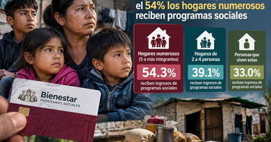 Sigue vulnerabilidad pese a que el 54% los hogares numerosos reciben programas sociales:IMCO